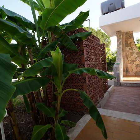 Villetta Mare "Gelsomino Bianco" Fontane Bianche Εξωτερικό φωτογραφία